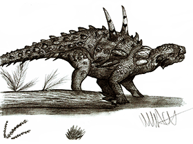 Tatankacephalus / © Robinson Kunz. Verwendet mit freundlicher Genehmigung des Autors