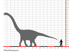Größenvergleich / Dinodata.de. Creative Commons 4.0 International (CC BY 4.0)