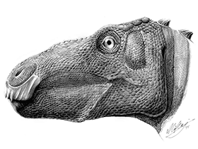 Telmatosaurus / Mihai D. Dumbravă. Creative Commons 4.0 International (CC BY 4.0) Telmatosaurus / Mihai D. Dumbravă. Creative Commons 4.0 International (CC BY 4.0)