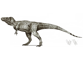 Teratophoneus / © Robinson Kunz. Verwendet mit freundlicher Genehmigung des Autors Teratophoneus / © Robinson Kunz. Verwendet mit freundlicher Genehmigung des Autors