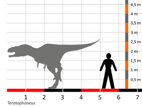 Größenvergleich © Dinodata.de. Creative Commons 4.0 International (CC BY 4.0) Größenvergleich / Dinodata.de. Creative Commons 4.0 International (CC BY 4.0)