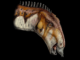 Tethyshadros / © Davide Bonadonna Tethyshadros / © Davide Bonadonna. Verwendet mit freundlicher Genehmigung des Autors.