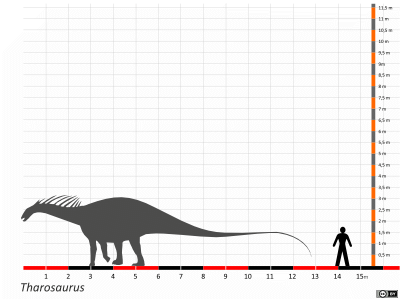 Größenvergleich / Dinodata.de. Creative Commons 4.0 International (CC BY 4.0) Größenvergleich / Dinodata.de. Creative Commons 4.0 International (CC BY 4.0)