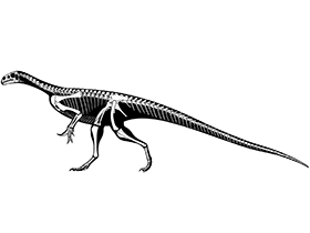 Thecodontosaurus / Jaime Headden. Creative Commons NonCommercial-NoDerivs 3.0 Unported (CC BY-NC-ND 3.0) Thecodontosaurus / Jaime Headden. Creative Commons NonCommercial-NoDerivs 3.0 Unported (CC BY-NC-ND 3.0)