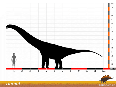 Größenvergleich / Dinodata.de. Creative Commons 4.0 International (CC BY 4.0) Größenvergleich / Dinodata.de. Creative Commons 4.0 International (CC BY 4.0)