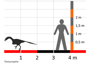 Größenvergleich / Dinodata.de. Creative Commons 4.0 International (CC BY 4.0)