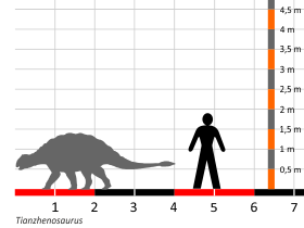 Größenvergleich © Dinodata.de. Creative Commons 4.0 International (CC BY 4.0) Größenvergleich / Dinodata.de. Creative Commons 4.0 International (CC BY 4.0)