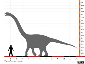 Größenvergleich / Dinodata.de. Creative Commons 4.0 International (CC BY 4.0)