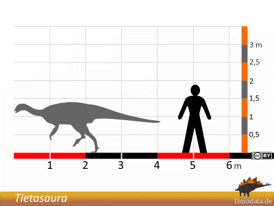 Größenvergleich / Dinodata.de. Creative Commons 4.0 International (CC BY 4.0) Größenvergleich / Dinodata.de. Creative Commons 4.0 International (CC BY 4.0)