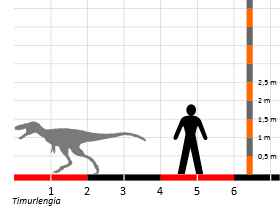 Größenvergleich / Dinodata.de. Creative Commons 4.0 International (CC BY 4.0)
