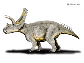 Titanoceratops / © N. Tamura. Verwendet mit freundlicher Genehmigung des Autors Titanoceratops / © N. Tamura. Verwendet mit freundlicher Genehmigung des Autors