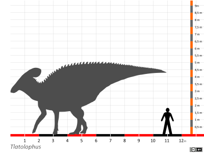 Größenvergleich / Dinodata.de. Creative Commons 4.0 International (CC BY 4.0) Größenvergleich / Dinodata.de. Creative Commons 4.0 International (CC BY 4.0)