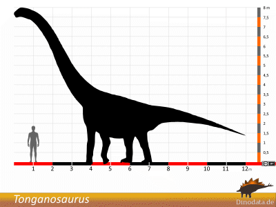 Größenvergleich / © Dinodata.de