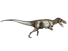 Torvosaurus / © Davide Bonadonna. Verwendet mit freundlicher Genehmigung des Autors Torvosaurus / © Davide Bonadonna. Verwendet mit freundlicher Genehmigung des Autors