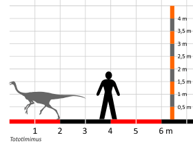 Größenvergleich / Dinodata.de. Creative Commons 4.0 International (CC BY 4.0)