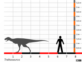 Größenvergleich / Dinodata.de. Creative Commons 4.0 International (CC BY 4.0)