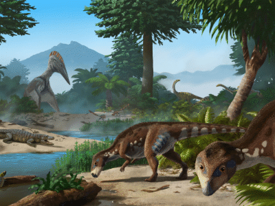 Transylvanosaurus / © Peter Nickolaus Transylvanosaurus / © Peter Nickolaus