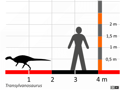 Größenvergleich / Dinodata.de. Creative Commons 4.0 International (CC BY 4.0) Größenvergleich / Dinodata.de. Creative Commons 4.0 International (CC BY 4.0)