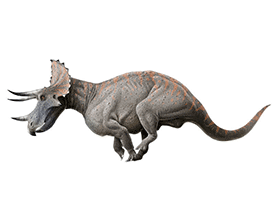 Triceratops / © Jan-Ake Winqvist Triceratops / © Jan-Ake Winqvist. Verwendet mit freundlicher Genehmigung des Autors.