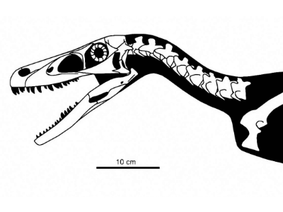 Tsaagan
 / © Ville Sinkkonen. Verwendet mit freundlicher Genehmigung des Autors
