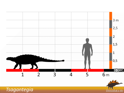 Größenvergleich / © Dinodata.de Größenvergleich / © Dinodata.de