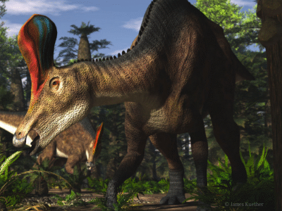 Tsintaosaurus
 / © James Kuether. Verwendet mit freundlicher Genehmigung des Autors