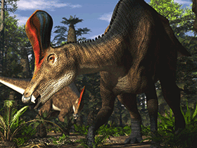 Tsintaosaurus
 / © James Kuether. Verwendet mit freundlicher Genehmigung des Autors