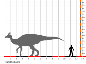 Größenvergleich / Dinodata.de. Creative Commons 4.0 International (CC BY 4.0)