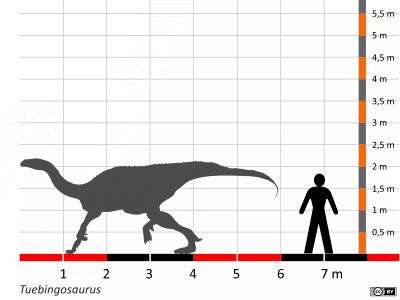 Größenvergleich / Dinodata.de. Creative Commons 4.0 International (CC BY 4.0) Größenvergleich / Dinodata.de. Creative Commons 4.0 International (CC BY 4.0)