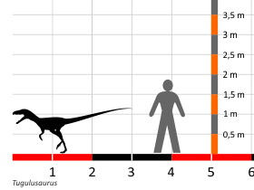 Größenvergleich © Dinodata.de. Creative Commons 4.0 International (CC BY 4.0) Größenvergleich / Dinodata.de. Creative Commons 4.0 International (CC BY 4.0)