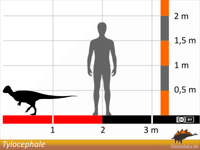 Größenvergleich / © Dinodata.de