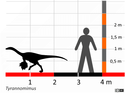 Größenvergleich / Dinodata.de. Creative Commons 4.0 International (CC BY 4.0)