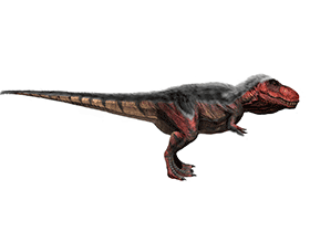 Tyrannosaurus / © Josep Asens Tyrannosaurus / © Josep Asensi. Verwendet mit freundlicher Genehmigung des Autors.