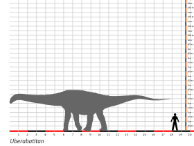 Größenvergleich / Dinodata.de. Creative Commons 4.0 International (CC BY 4.0)