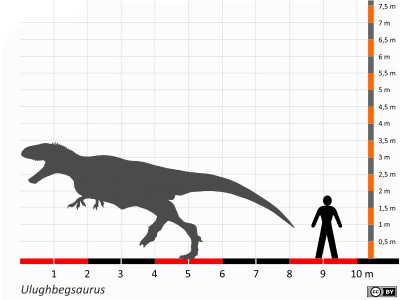 Größenvergleich / Dinodata.de. Creative Commons 4.0 International (CC BY 4.0)