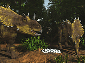 Utahceratops
/© James Kuether. Verwendet mit freundlicher Genehmigung des Autors Utahceratops
/© James Kuether. Verwendet mit freundlicher Genehmigung des Autors