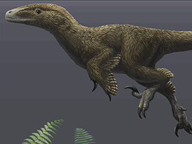 Utahraptor / © Emily Willoughby. Verwendet mit freundlicher Genehmigung der Autorin.