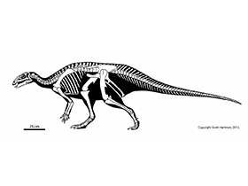Uteodon
/ © Scott Hartman. Verwendet mit freundlicher Genehmigung des Autors Uteodon
/ © Scott Hartman. Verwendet mit freundlicher Genehmigung des Autors