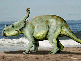 Vagaceratops
/ © N. Tamura. Verwendet mit freundlicher Genehmigung des Autors Vagaceratops
/ © N. Tamura. Verwendet mit freundlicher Genehmigung des Autors