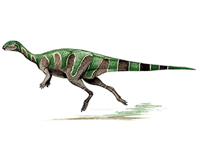 Valdosaurus
 / © Andrey Atuchin. Verwendet mit freundlicher Genehmigung des Autors