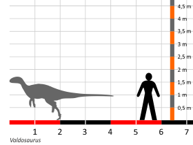Größenvergleich / Dinodata.de. Creative Commons 4.0 International (CC BY 4.0)