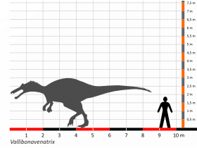 Größenvergleich © Dinodata.de. Creative Commons 4.0 International (CC BY 4.0) Größenvergleich / Dinodata.de. Creative Commons 4.0 International (CC BY 4.0)