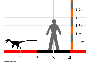 Größenvergleich / Dinodata.de. Creative Commons 4.0 International (CC BY 4.0)