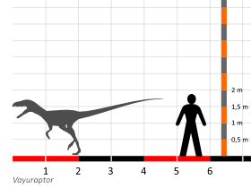 Größenvergleich © Dinodata.de. Creative Commons 4.0 International (CC BY 4.0) Größenvergleich / Dinodata.de. Creative Commons 4.0 International (CC BY 4.0)
