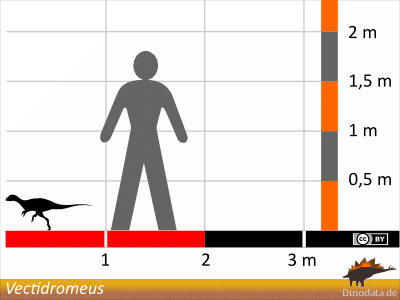 Größenvergleich / Dinodata.de. Creative Commons 4.0 International (CC BY 4.0) Größenvergleich / Dinodata.de. Creative Commons 4.0 International (CC BY 4.0)