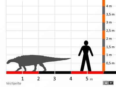 Größenvergleich / Dinodata.de. Creative Commons 4.0 International (CC BY 4.0)