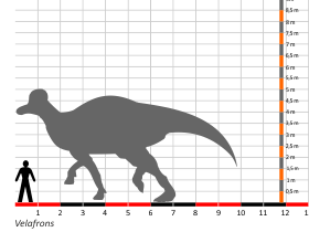 Größenvergleich / Dinodata.de. Creative Commons 4.0 International (CC BY 4.0)