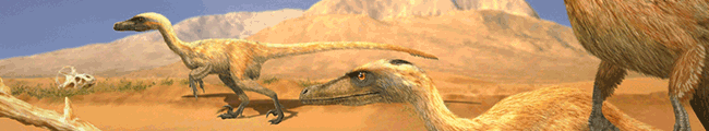 Velociraptor / © Beate Basner. Verwendet mit freundlicher Genehmigung der Autorin