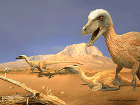 Velociraptor / © Beate Basner. Verwendet mit freundlicher Genehmigung der Autorin