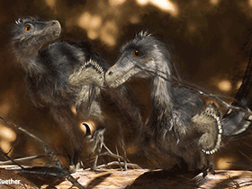 Velociraptor / ©  James Kuether. Verwendet mit freundlicher Genehmigung des Autors